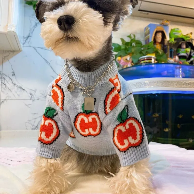 Lettre pull chien vêtements co - Winter Clothing Kids avis et prix