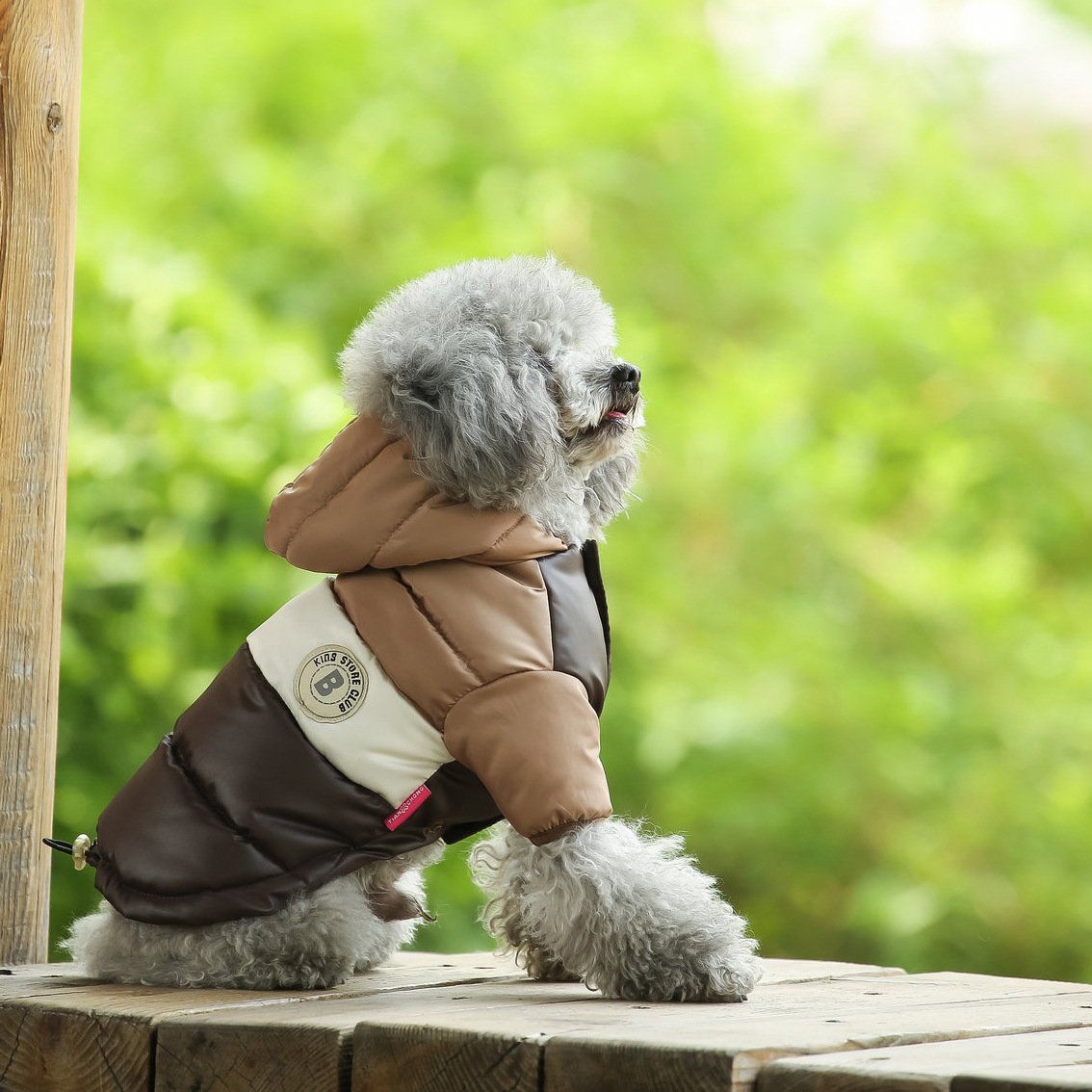 Gilet pour animaux de compagni - Winter Clothing Options avis et prix